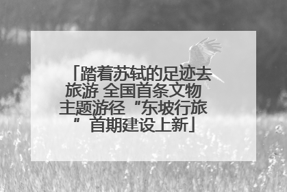 踏着苏轼的足迹去旅游 全国首条文物主题游径“东坡行旅”首期建设上新