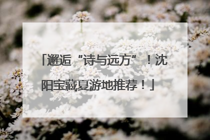 邂逅“诗与远方”！沈阳宝藏夏游地推荐！