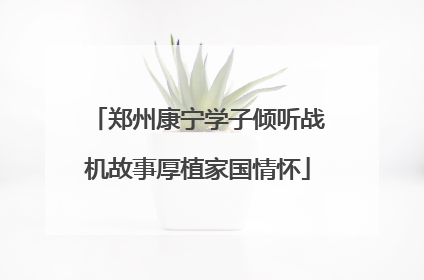 郑州康宁学子倾听战机故事厚植家国情怀