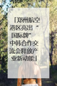 郑州航空港区亮出“国际牌” 中韩合作交流会释放产业新动能