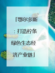 鄂尔多斯：打造柠条绿色生态经济产业链