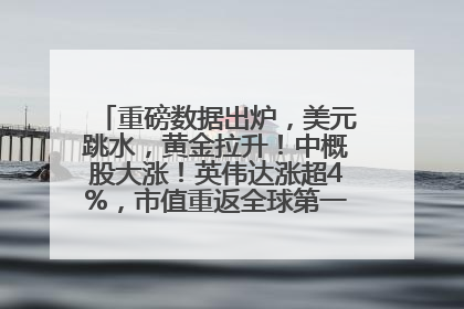 重磅数据出炉，美元跳水，黄金拉升！中概股大涨！英伟达涨超4%，市值重返全球第一！黄仁勋计划出售至多600万股股票