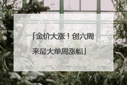 金价大涨！创六周来最大单周涨幅