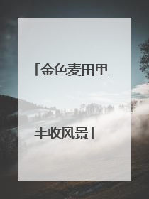 金色麦田里丰收风景