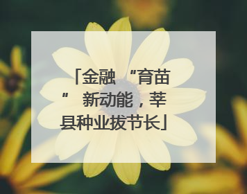 金融 “育苗” 新动能，莘县种业拔节长
