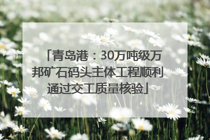 青岛港：30万吨级万邦矿石码头主体工程顺利通过交工质量核验
