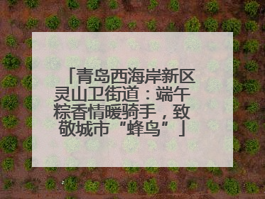 青岛西海岸新区灵山卫街道：端午粽香情暖骑手，致敬城市“蜂鸟”