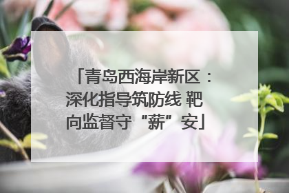 青岛西海岸新区：深化指导筑防线 靶向监督守“薪”安