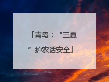 青岛：“三夏”护农话安全