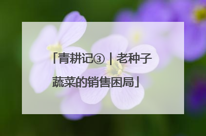青耕记③｜老种子蔬菜的销售困局