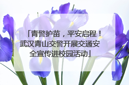 青警护苗，平安启程！武汉青山交警开展交通安全宣传进校园活动