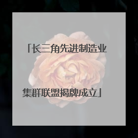长三角先进制造业集群联盟揭牌成立