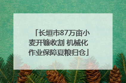 长垣市87万亩小麦开镰收割 机械化作业保障夏粮归仓