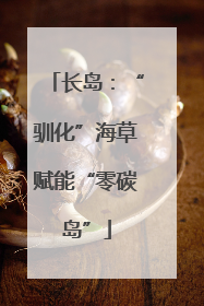长岛：“驯化”海草赋能“零碳岛”
