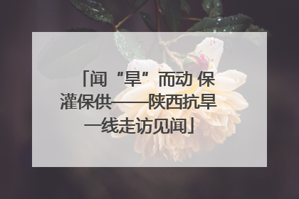 闻“旱”而动 保灌保供——陕西抗旱一线走访见闻