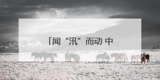 闻“汛”而动 中国太保产险丽水中支筑牢安全守护网