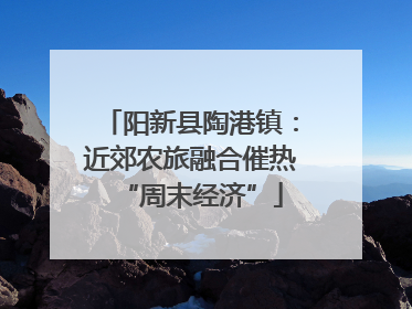 阳新县陶港镇：近郊农旅融合催热“周末经济”