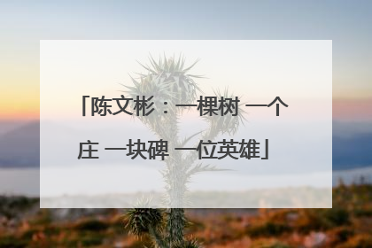 陈文彬：一棵树 一个庄 一块碑 一位英雄