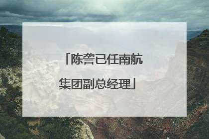 陈詟已任南航集团副总经理