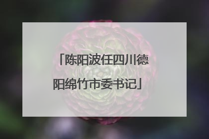 陈阳波任四川德阳绵竹市委书记