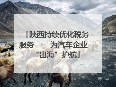 陕西持续优化税务服务——为汽车企业“出海”护航