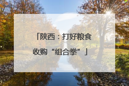 陕西：打好粮食收购“组合拳”
