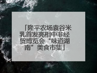 隆平农场袁谷米乳首发亮相中非经贸博览会“味道湖南”美食市集