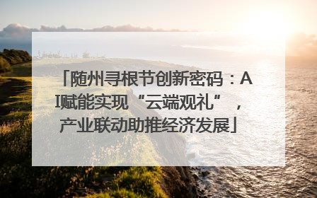 随州寻根节创新密码：AI赋能实现“云端观礼”，产业联动助推经济发展