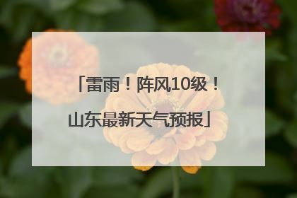 雷雨！阵风10级！山东最新天气预报