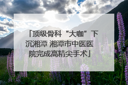 顶级骨科“大咖”下沉湘潭 湘潭市中医医院完成高精尖手术