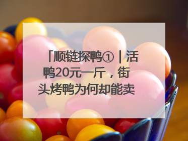 顺链探鸭①｜活鸭20元一斤，街头烤鸭为何却能卖到20多元一只