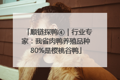 顺链探鸭④｜行业专家：我省肉鸭养殖品种80%是樱桃谷鸭