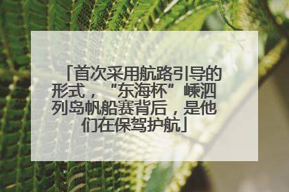 首次采用航路引导的形式，“东海杯”嵊泗列岛帆船赛背后，是他们在保驾护航