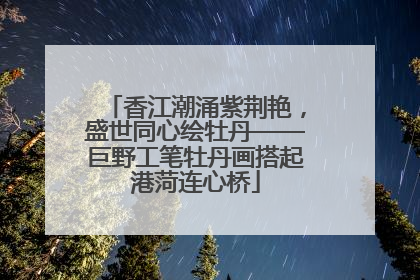 香江潮涌紫荆艳，盛世同心绘牡丹——巨野工笔牡丹画搭起港菏连心桥