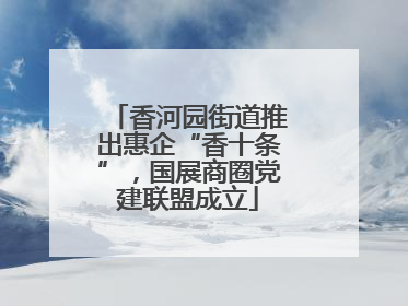 香河园街道推出惠企“香十条”，国展商圈党建联盟成立
