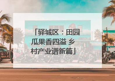 驿城区：田园瓜果香四溢 乡村产业谱新篇