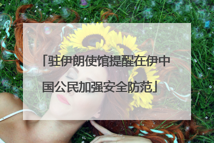 驻伊朗使馆提醒在伊中国公民加强安全防范