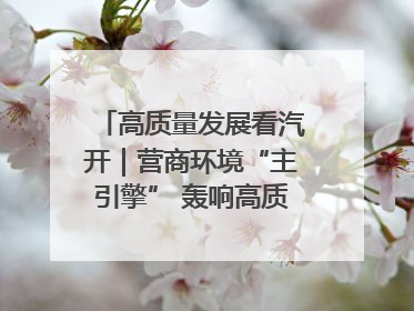 高质量发展看汽开｜营商环境“主引擎” 轰响高质量发展新赛道
