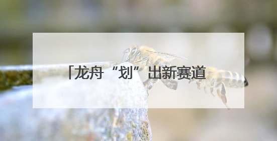 龙舟“划”出新赛道 产业链整合打造新引擎