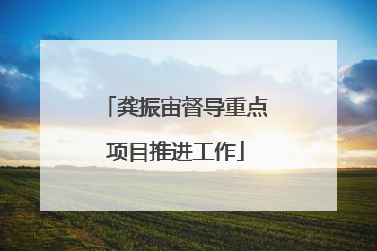龚振宙督导重点项目推进工作