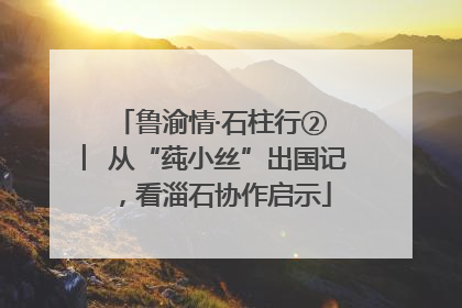 鲁渝情·石柱行② ︳从“莼小丝”出国记，看淄石协作启示