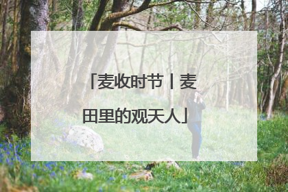 麦收时节丨麦田里的观天人