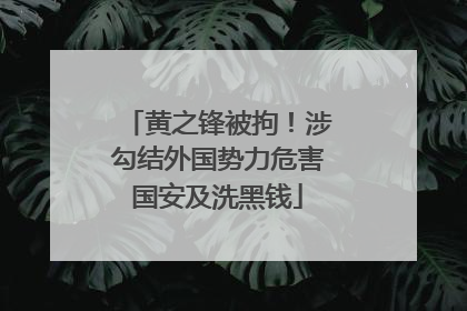 黄之锋被拘！涉勾结外国势力危害国安及洗黑钱