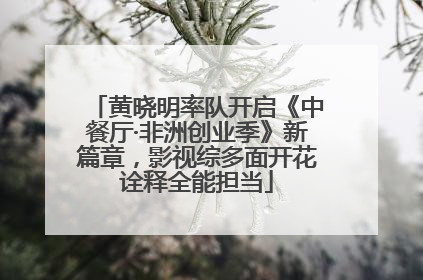 黄晓明率队开启《中餐厅·非洲创业季》新篇章，影视综多面开花诠释全能担当