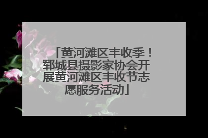 黄河滩区丰收季！郓城县摄影家协会开展黄河滩区丰收节志愿服务活动