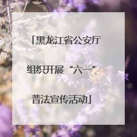 黑龙江省公安厅组织开展“六一”普法宣传活动