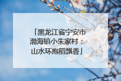 黑龙江省宁安市渤海镇小朱家村：山水环抱稻飘香