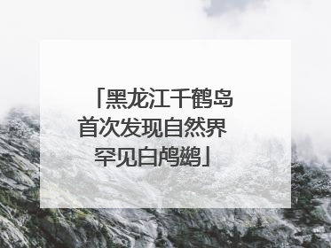 黑龙江千鹤岛首次发现自然界罕见白鸬鹚