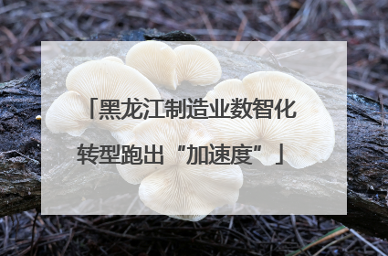 黑龙江制造业数智化转型跑出“加速度”