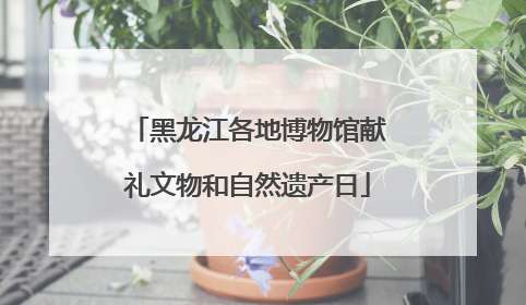 黑龙江各地博物馆献礼文物和自然遗产日